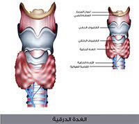 مين سوت عملية استئصال الغدة تدخل ضروري