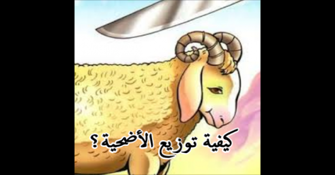 كيفية توزيع الاضحية،السنة في تقسيم الاضحية 5003